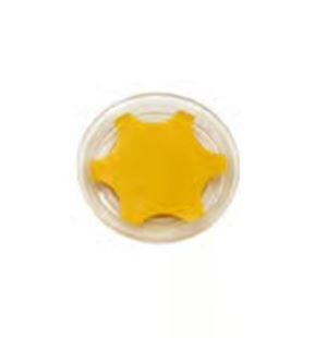 OIL SIGHT GLASS